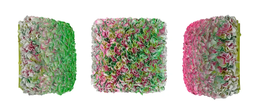 Flowerbed Colorchange, B22228- M20 &mdash; Zhuang Hong Yi