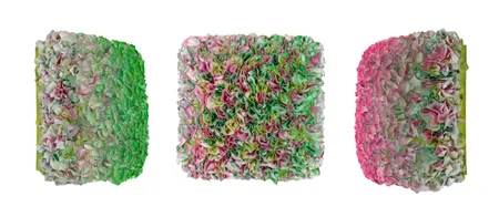 Flowerbed Colorchange, B22228- M20