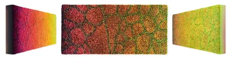 Flowerbed Colorchange, S02613