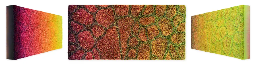 Flowerbed Colorchange, S02613 &mdash; Zhuang Hong Yi
