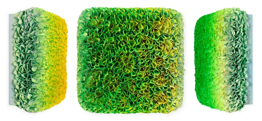 Flowerbed Colorchange, B12623 &mdash; Zhuang Hong Yi