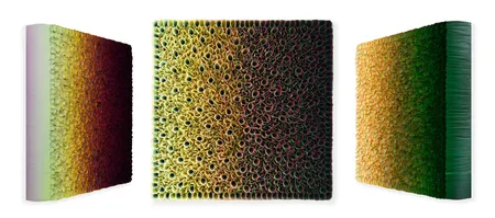 Flowerbed Colorchange, B12520