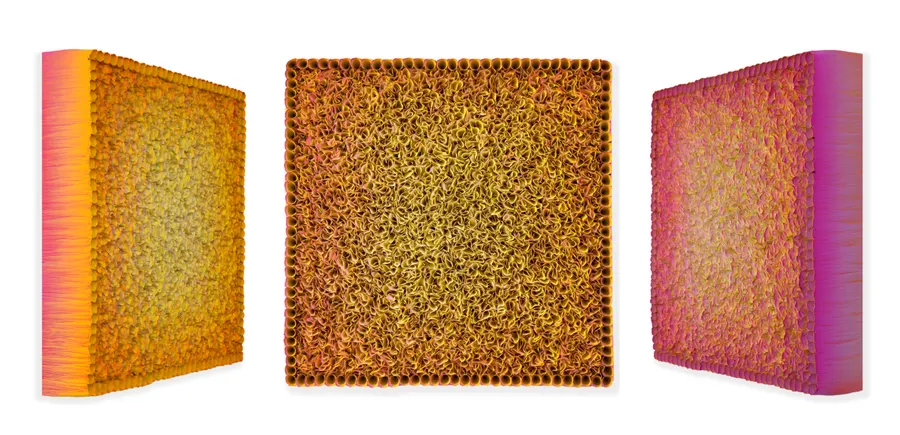 Flowerbed Colorchange, B32599 &mdash; Zhuang Hong Yi