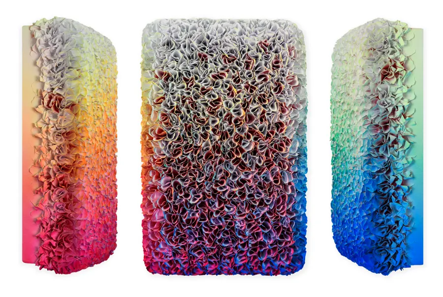 Flowerbed Colorchange, B12626 &mdash; Zhuang Hong Yi