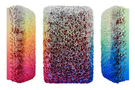 Flowerbed Colorchange, B12626