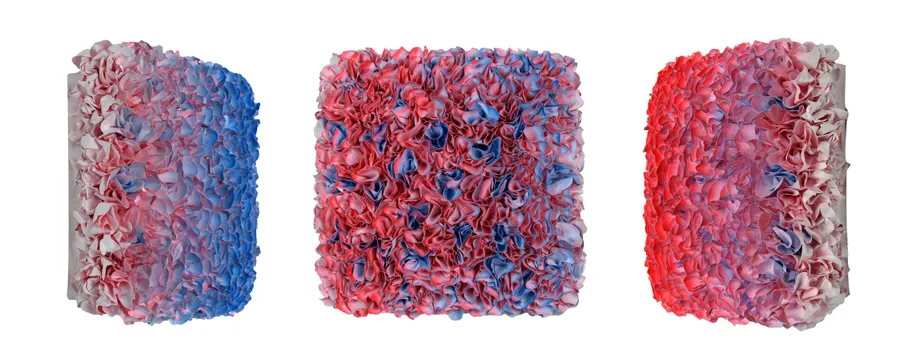 Flowerbed Colorchange, B22225- M20 &mdash; Zhuang Hong Yi