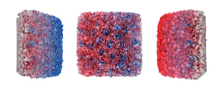 Flowerbed Colorchange, B22225- M20