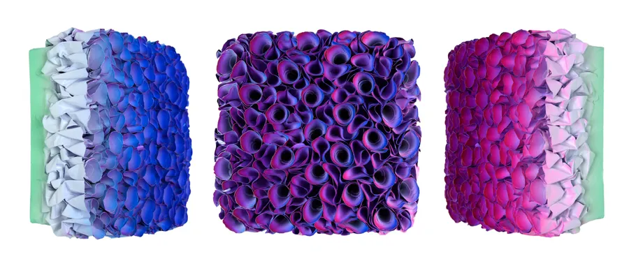 Flowerbed Colorchange, S23117- M20 &mdash; Zhuang Hong Yi