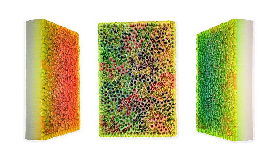 Blossom Colorchange, B22195 &mdash; Zhuang Hong Yi