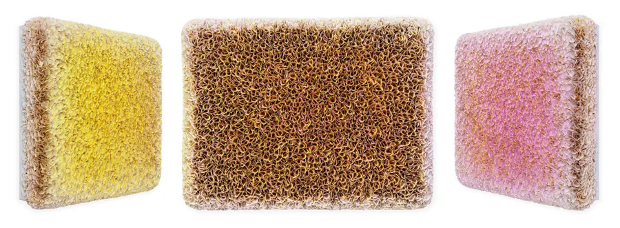 Flowerbed Colorchange, S42529 &mdash; Zhuang Hong Yi