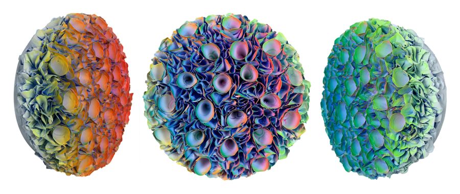 Flowerbed Colorchange, B23034 &mdash; Zhuang Hong Yi