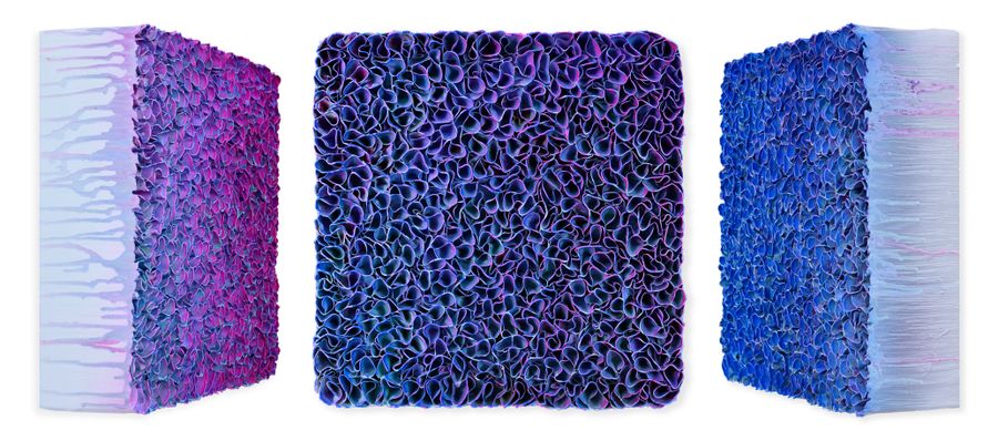 Flowerbed Colorchange, S62379 &mdash; Zhuang Hong Yi