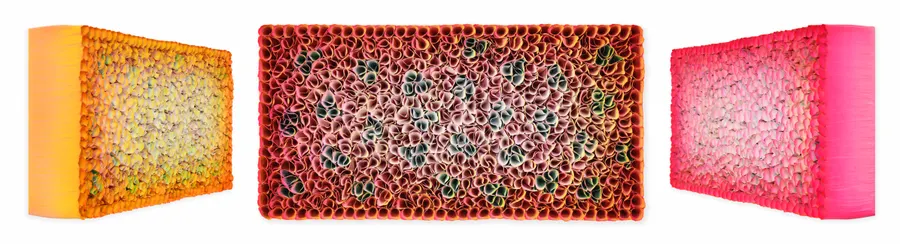 Flowerbed Colorchange, S42520 &mdash; Zhuang Hong Yi