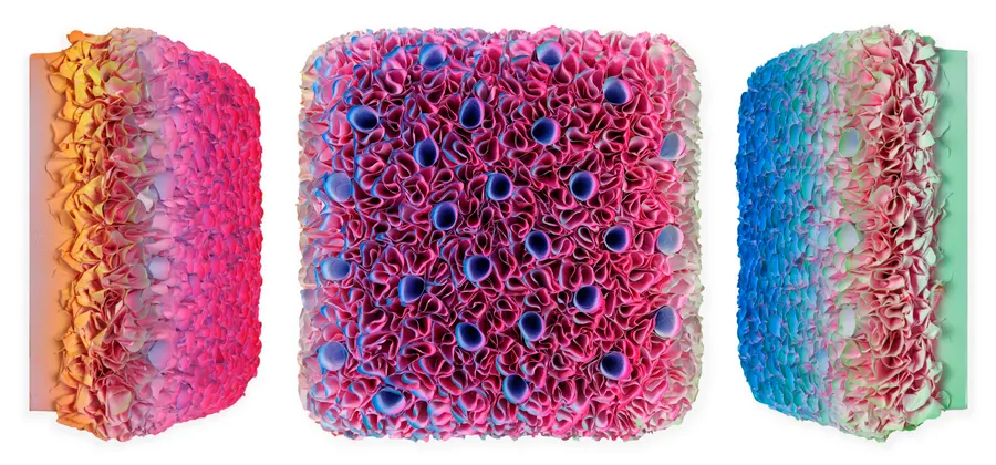 Flowerbed Colorchange, B12622 &mdash; Zhuang Hong Yi