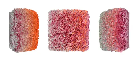 Flowerbed Colorchange, B22206- M20