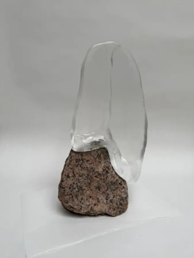 Myriade, Pink Granite Bretagne &mdash; Vladimir Zbynovsky