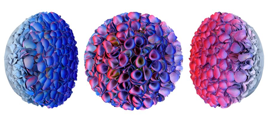 Flowerbed Colorchange, B23035 &mdash; Zhuang Hong Yi