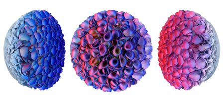 Flowerbed Colorchange, B23035