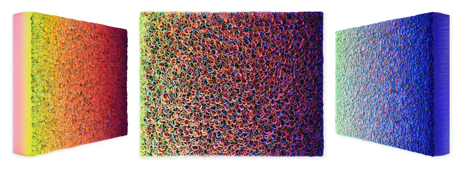 Flowerbed Colorchange, B12638 &mdash; Zhuang Hong Yi