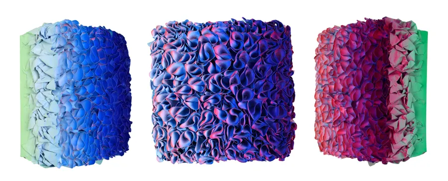 Flowerbed Colorchange, S23102- M20 &mdash; Zhuang Hong Yi
