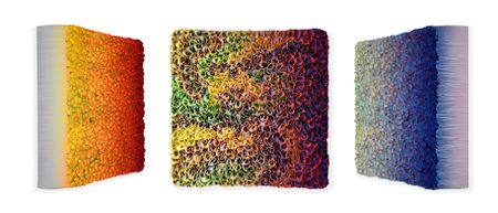 Flowerbed Colorchange, S02232