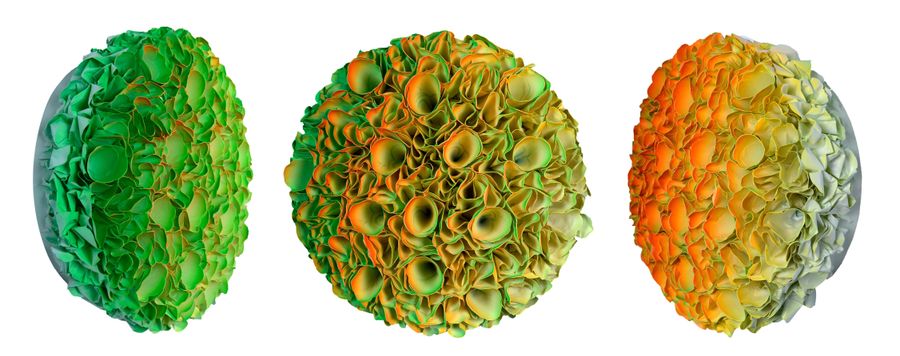 Flowerbed Colorchange, B23023 &mdash; Zhuang Hong Yi