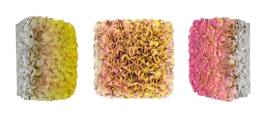 Flowerbed Colorchange, B22194- M20 &mdash; Zhuang Hong Yi