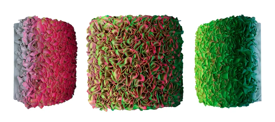Flowerbed Colorchange, B23040- M20 &mdash; Zhuang Hong Yi