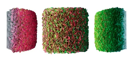 Flowerbed Colorchange, B23040- M20