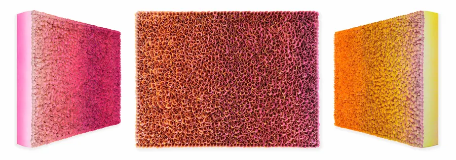 Flowerbed Colorchange, S22592 &mdash; Zhuang Hong Yi