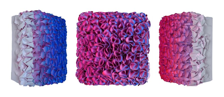 Flowerbed Colorchange, S23121 &mdash; Zhuang Hong Yi
