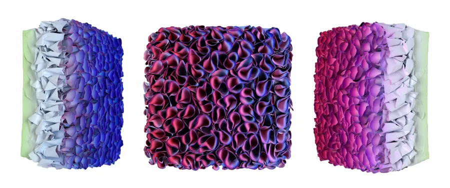 Flowerbed Colorchange, S23123- M20 &mdash; Zhuang Hong Yi