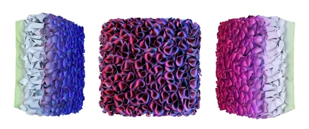 Flowerbed Colorchange, S23123- M20