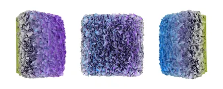 Flowerbed Colorchange, B22218- M20
