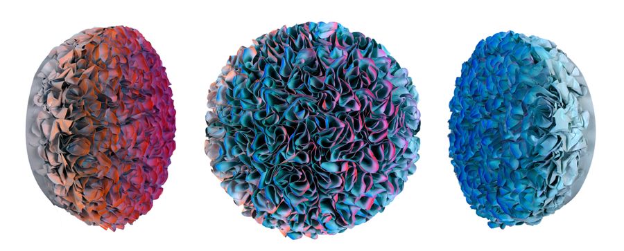 Flowerbed Colorchange, B23021 &mdash; Zhuang Hong Yi