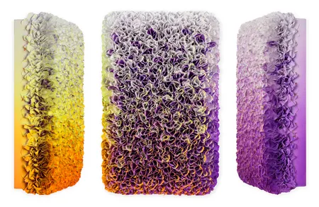 Flowerbed Colorchange, B12624