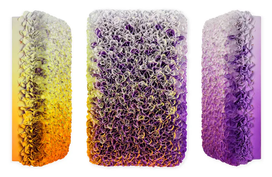 Flowerbed Colorchange, B12624 &mdash; Zhuang Hong Yi
