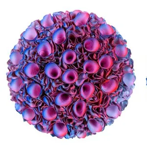 Flowerbed Colorchange, B23025