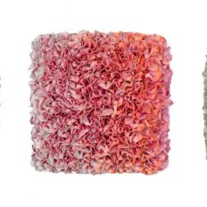 Flowerbed Colorchange, B22206- M20