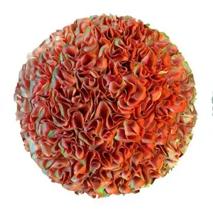 Flowerbed Colorchange, B23027