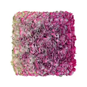 Flowerbed Colorchange, B22227- M20
