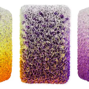 Flowerbed Colorchange, B12624