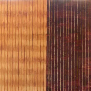 Ineke van Koningsbruggen