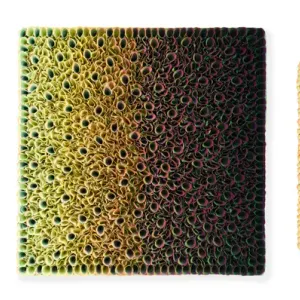 Flowerbed Colorchange, B12520