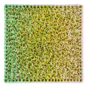 Flowerbed Colorchange, S02619