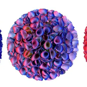 Flowerbed Colorchange, B23035