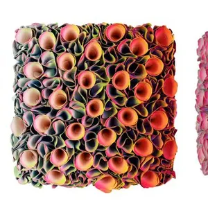 Flowerbed Colorchange, S23107