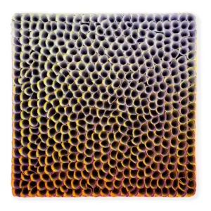 Flowerbed Colorchange, S02604