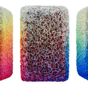 Flowerbed Colorchange, B12626