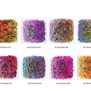 Flowerbed Colourchange